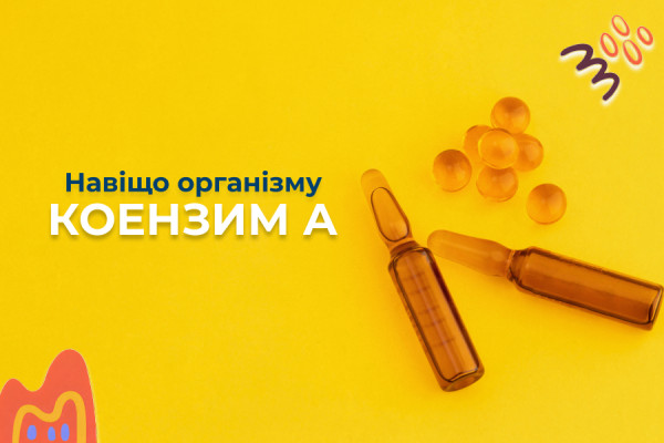 Навіщо організму коензим А і чому його нестача сповільнює метаболізм?