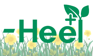 Препарати HEEL
